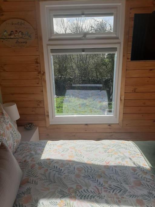 Anglesey New Modern Shepherds Hut With Spa Hot Tub Gwalchmai Eksteriør billede